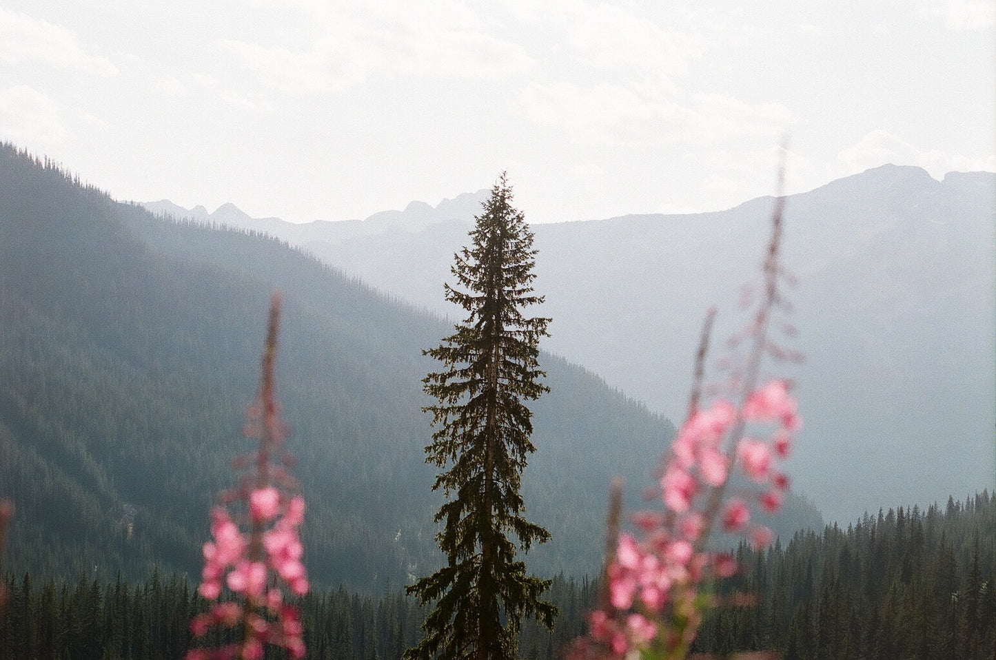 Travel Journal #1:  Beautiful British Columbia