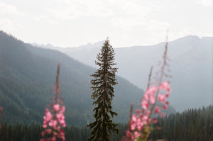Travel Journal #1:  Beautiful British Columbia
