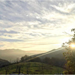True Nature Campout