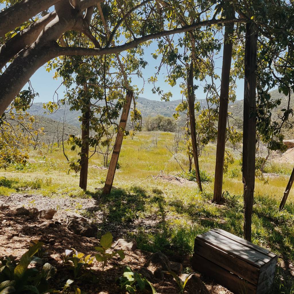 True Nature Campout