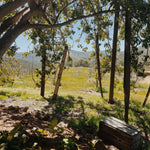 True Nature Campout